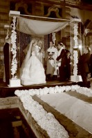 /album/gisel-joel-gallery/img-7164-jpg1/